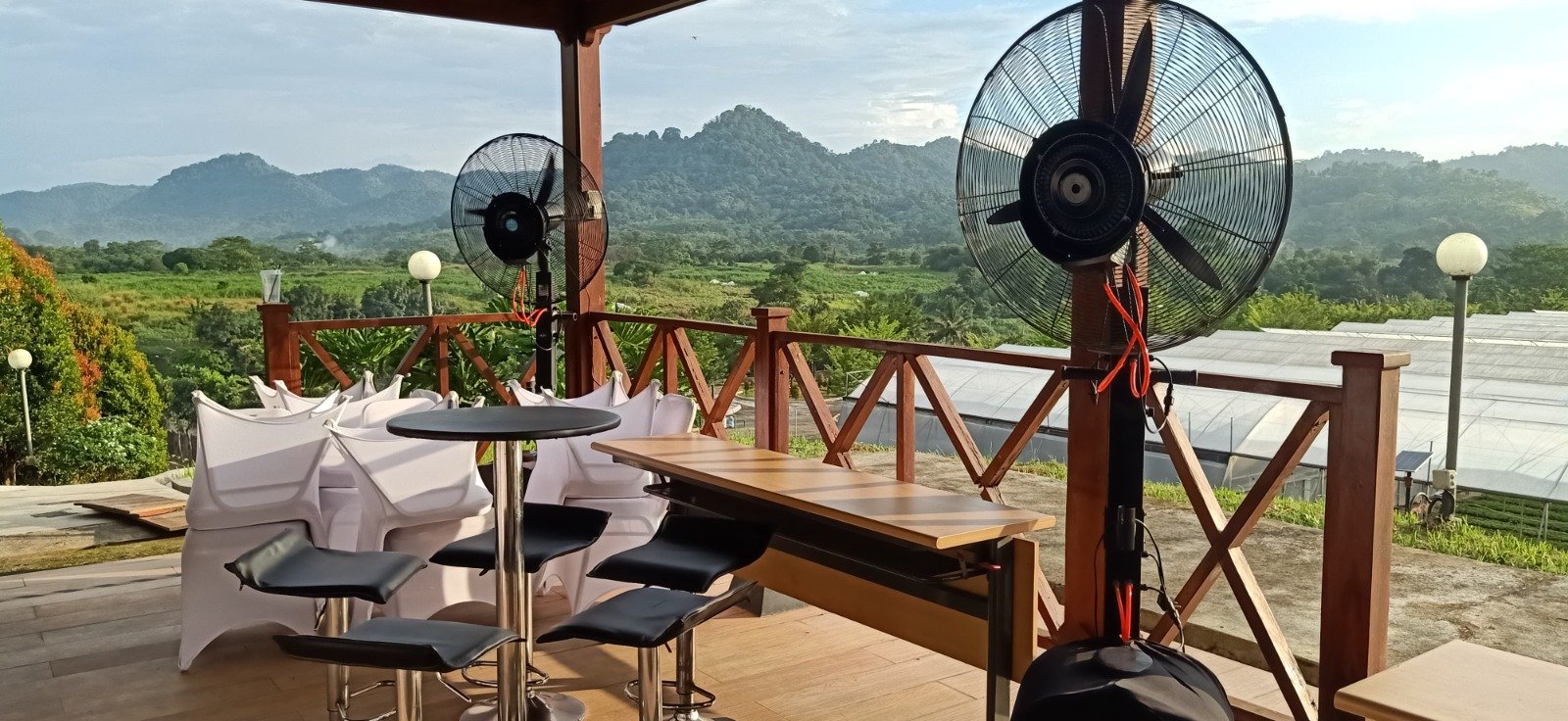 More for Gallery Image