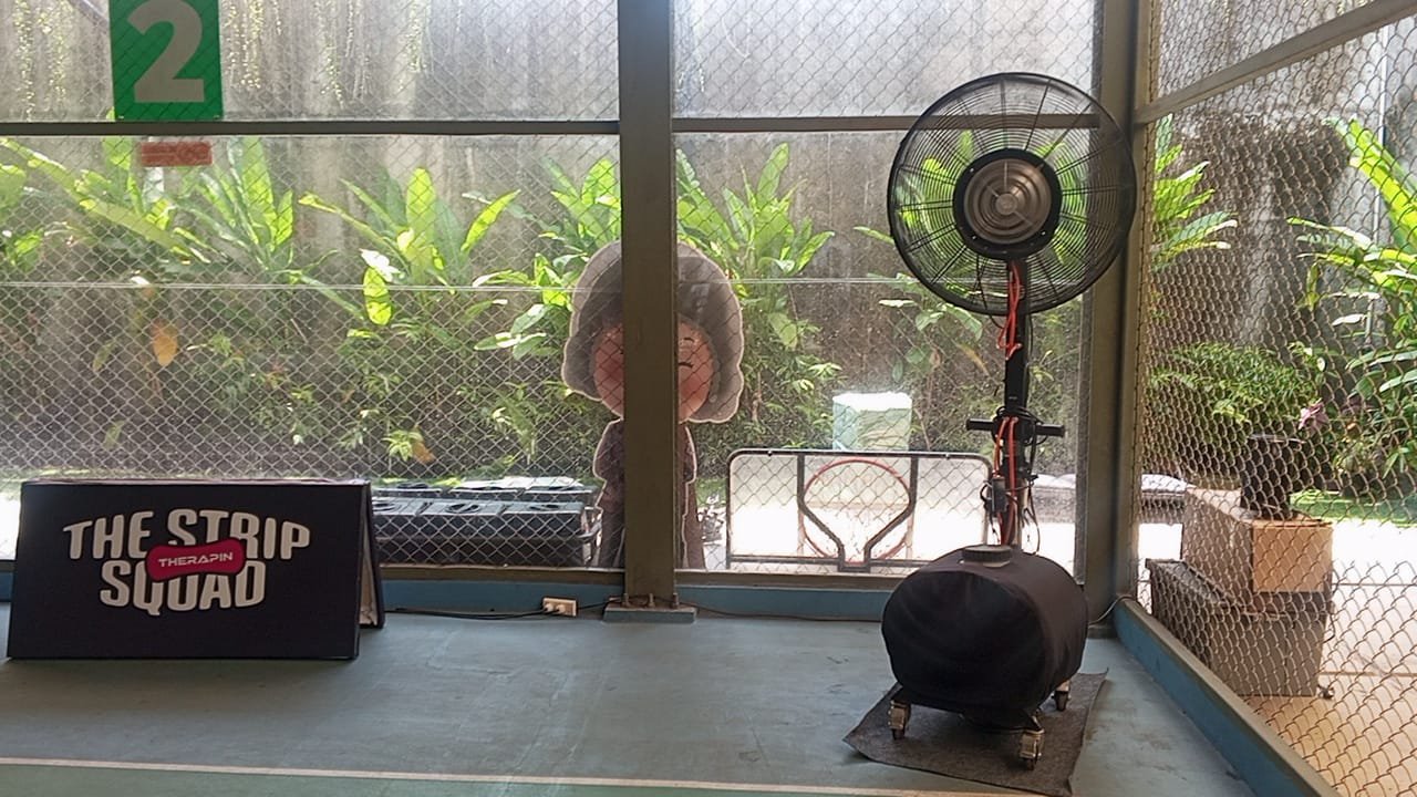 More for Gallery Image